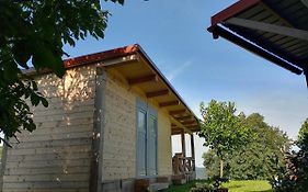 Oddih Pr Toniqu